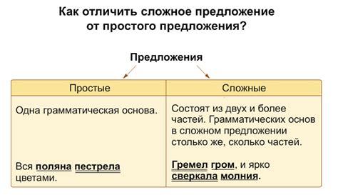 Примеры сложных предложений и как их разобрать