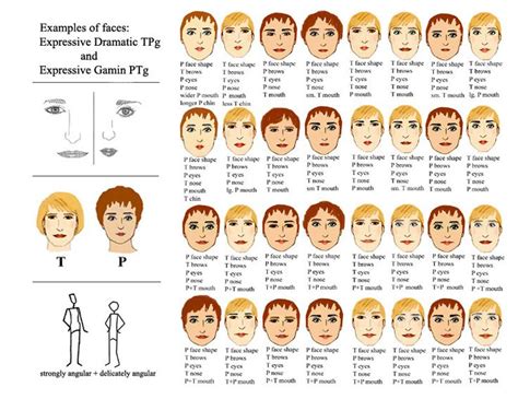 Примеры типов лиц и рекомендации для макияжа