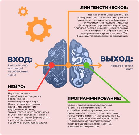 Примеры успешной реализации НЛП