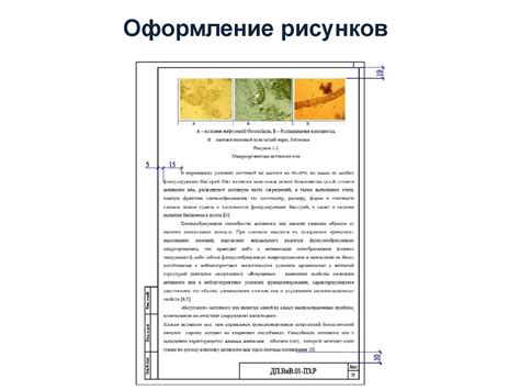 Примеры хорошо оформленных названий рисунков в курсовой работе