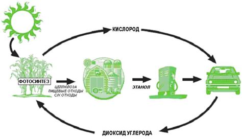 Пример 2: Экологический цикл