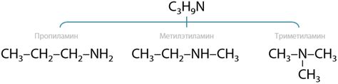 Пример 3: Изомерия аминов и аминоуксусных кислот