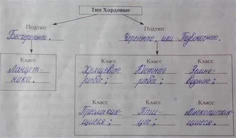 Примитивные формы связи