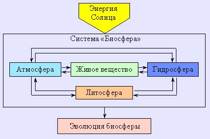 Принципы биосферы в Калуге