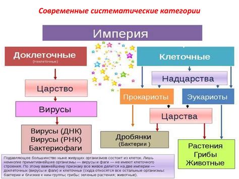 Принципы классификации