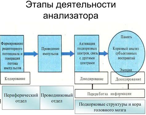 Принципы кодирования в системе DNS