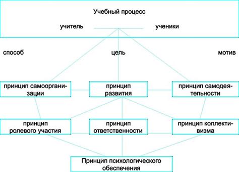 Принципы организации учебного процесса в ГБПОУ