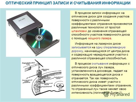 Принципы работы ШГО: от считывания до обработки информации