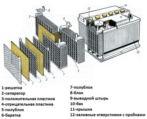 Принципы работы аккумулятора в растениях