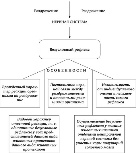 Принципы работы безусловных рефлексов