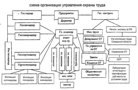 Принципы работы и организация ставок на скачках