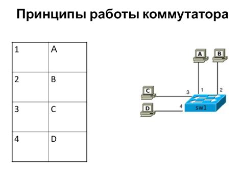 Принципы работы и суть VLAN