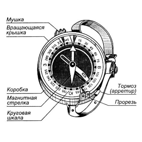 Принципы работы компаса: навигация с помощью иглы и воды