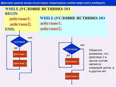 Принципы работы цикла while в языке программирования C