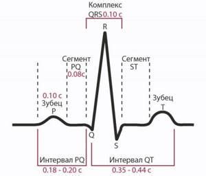 Принципы работы черно-белого кардиографа