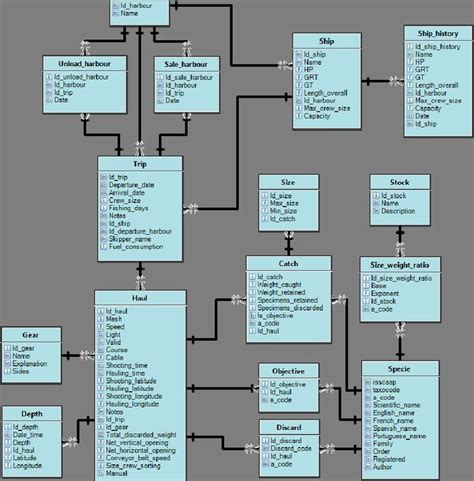 Принципы работы data class