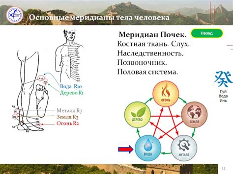 Принципы ци-энергии в традиционной китайской медицине