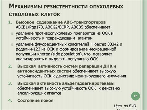 Принцип действия химиотерапии на остаточные опухолевые клетки