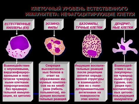 Принцип мимикрии: создание иммунитета с помощью аналогичного белка