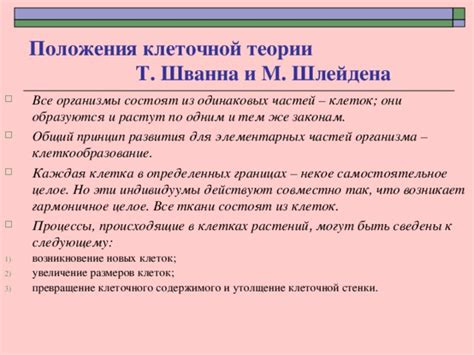 Принцип наследования в клеточной биологии