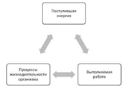 Принцип потребности