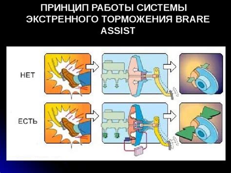 Принцип работы ассистента торможения: полное руководство