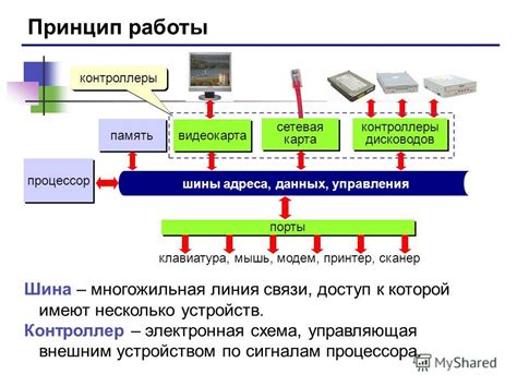 Принцип работы воскрешающих устройств