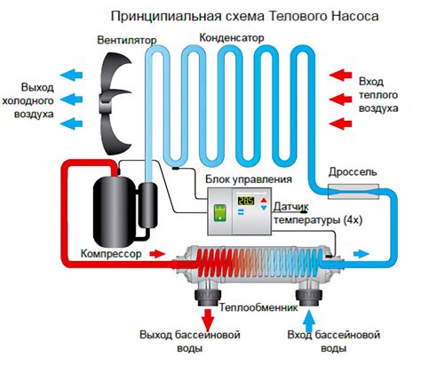 Принцип работы и структура бассейна