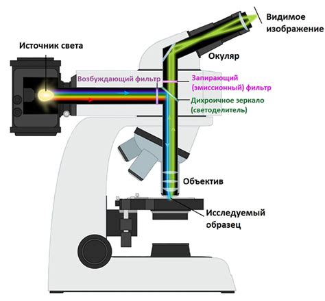 Принцип работы оптики микроскопа