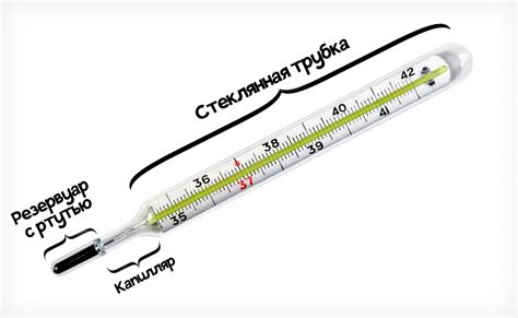 Принцип работы ртутного градусника