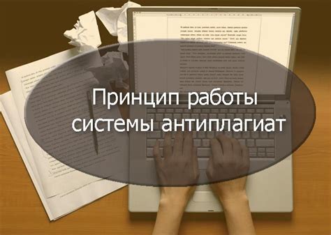 Принцип работы системы антиплагиат