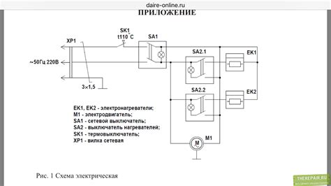 Принцип работы энзимов: важные аспекты