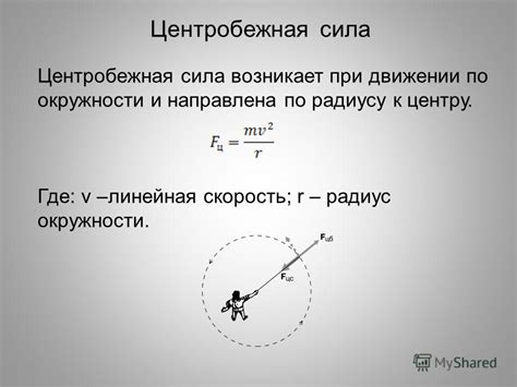 Принцип центрифуги: сила тяжести и центробежная сила