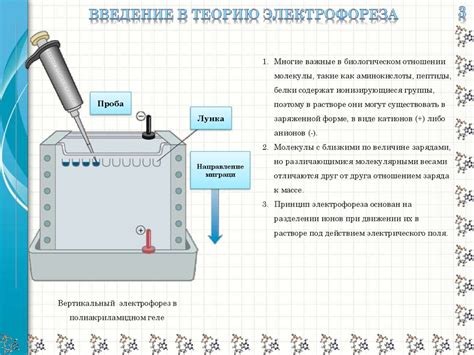 Принцип электрофореза