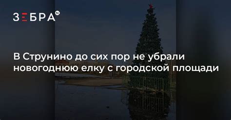 Природа до сих пор не разгадала эту загадку