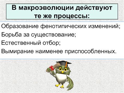 Природа фенотипических изменений