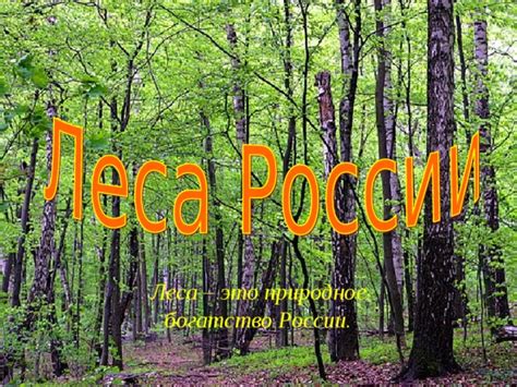 Природное богатство России: сохранение и защита