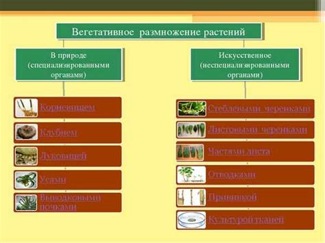 Природные инстинкты и размножение