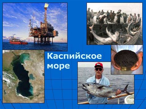 Природные причины изменения цвета Каспийского моря