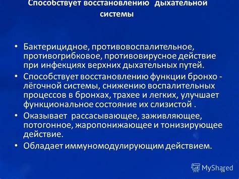 Природные продукты, способствующие регенерации тканей