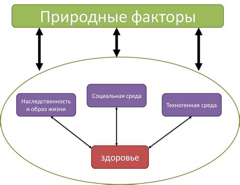 Природные факторы, влияющие на формирование боковых отростков