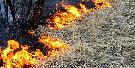 Природные факторы, вызывающие сильный ветер