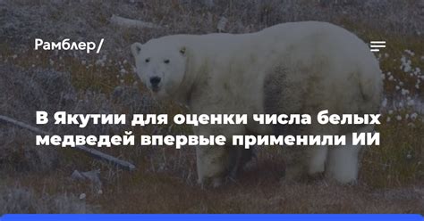 Прирост числа медведей в этом году