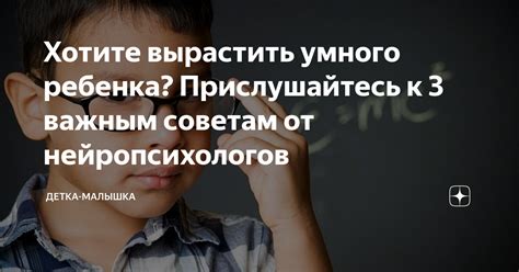 Прислушайтесь к советам других владельцев котов