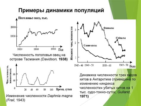 Причина в стратегии выживания и сохранении рода