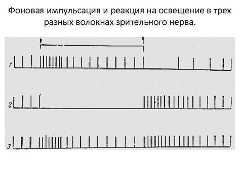 Причина №1: Реакция на освещение