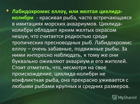 Причина №2: Золовка обладает ярким окрасом