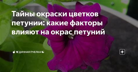 Причина №5: Влияние окраски цветков