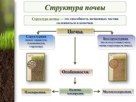 Причина 1: Особое строение поверхности паутин