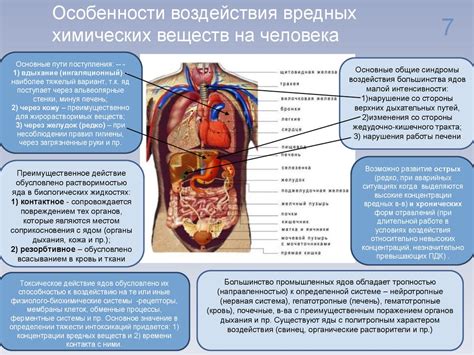 Причина 3: Вредные вещества, выделяемые овсом